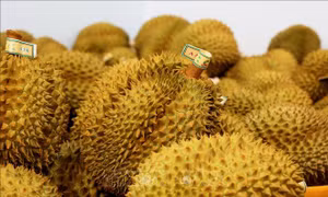 Tháo gỡ khó khăn trong kiểm nghiệm để thúc đẩy xuất khẩu sầu riêng và nông sản