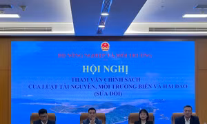 Sửa đổi, tháo gỡ rào cản để phát triển bền vững kinh tế biển
