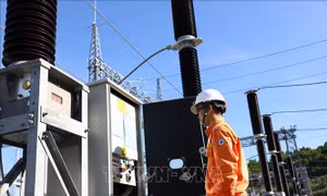 Chủ động các phương án vận hành hệ thống điện ứng phó bão số 1
