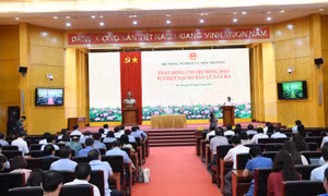 Bộ Nông nghiệp và Môi trường phát động ủng hộ đồng bào bị thiệt hại do bão lũ