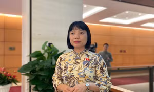 Đại biểu Quốc hội: Vụ trẻ mầm non tử vong do bị bỏ quên trên xe, cần rà soát lại quy trình đưa đón học sinh