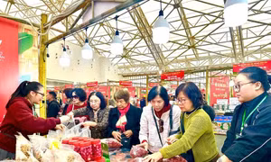  Đặc sản vùng miền hút khách, doanh thu hàng trăm triệu tại Hội chợ Mùa Xuân 2026