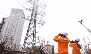 EVNHANOI sẵn sàng đảm bảo điện dịp Tết Nguyên đán 2024