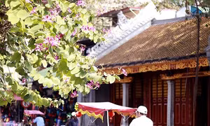  Bắc - Nam tăng nhiệt, Hà Nội nắng đẹp trong Ngày Cá tháng Tư