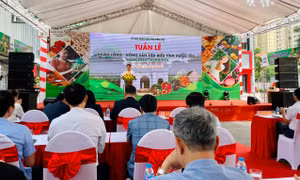 Khai mạc Tuần lễ Nhãn và nông sản tiêu biểu tỉnh Hưng Yên tại Hà Nội năm 2024