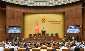 Tiếp tục trình Quốc hội thảo luận hai phương án rút bảo hiểm một lần