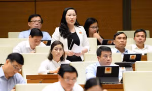 ‘Cha mẹ hờ’ không thuộc trường hợp cấm tiếp xúc trong bạo lực gia đình, khoảng trống cần rà soát