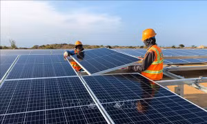 Khánh thành Nhà máy điện mặt trời Phước Ninh