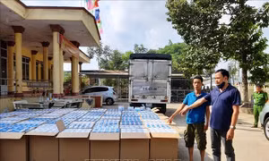 Bắt giữ vụ vận chuyển gần 300.000 chiếc khẩu trang y tế qua Campuchia tiêu thụ