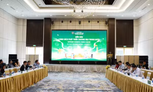 Thúc đẩy chính sách phát triển thương mại trong nước