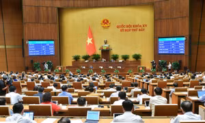 Quốc hội thông qua Luật sửa đổi bổ sung một số điều của Luật Đấu giá tài sản, Luật Công nghiệp quốc phòng, an ninh và động viên công nghiệp