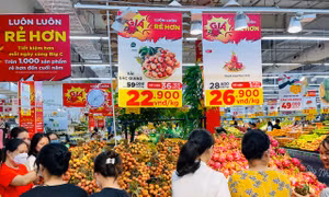 Đưa vải thiều Bắc Giang vào hệ thống phân phối siêu thị
