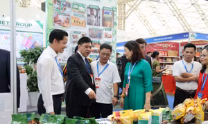 Cơ hội thúc đẩy hợp tác, mở rộng thị trường xuất khẩu tại Vietnam Expo 2026