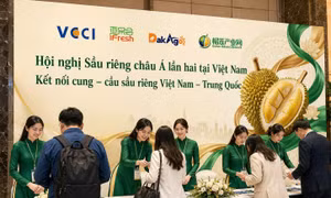 Hội nghị Sầu riêng châu Á lần thứ II tại Việt Nam: Công nghệ mở lối vào thị trường tỷ dân