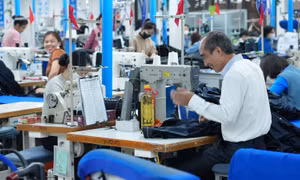 Doanh nghiệp ra quân sản xuất đầu năm