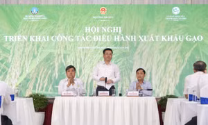 Việt Nam đủ gạo cho nội địa và xuất khẩu