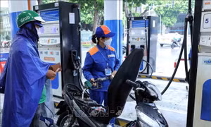 Bộ Công Thương ban hành kế hoạch phổ biến lộ trình phối trộn nhiên liệu sinh học