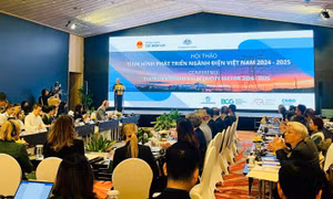 Thị trường điện cạnh tranh tiếp tục giữ vai trò quan trọng trong phát triển ngành điện