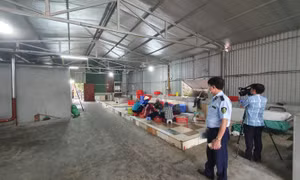 Phát hiện 2,3 tấn sản phẩm động vật đã biến chất