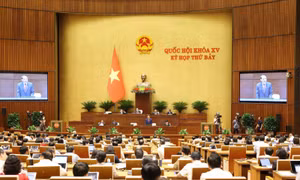 Sáng 6/6, Phó Thủ tướng Chính phủ Trần Hồng Hà đăng đàn trả lời chất vấn