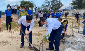 Ra quân trồng cây rừng ngập mặn tại Khánh Hoà