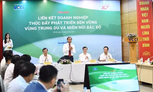 Thúc đẩy liên kết chế biến nông sản, thực phẩm giữa các doanh nghiệp