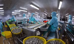 Kết nối cung - cầu, mở rộng thị trường nội địa cho thủy sản Việt