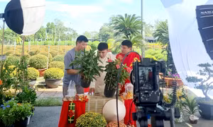 Tăng trách nhiệm nền tảng số trong bảo vệ quyền sở hữu trí tuệ