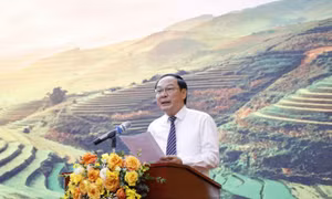 Công bố Quy hoạch Bảo vệ môi trường quốc gia thời kỳ 2021 - 2030, tầm nhìn đến năm 2050