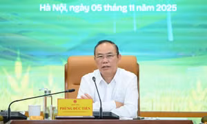Thứ trưởng Phùng Đức Tiến: Ngành Nông nghiệp và Môi trường luôn là trụ cột quan trọng của nền kinh tế quốc dân