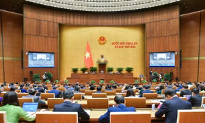 ĐBQH đề xuất xem xét lại quy định cấm người trong gia đình tham gia đấu giá cùng một tài sản
