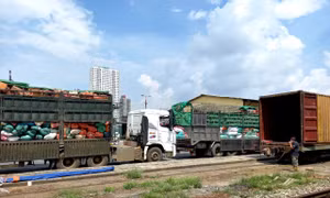 Chuyển 105 tấn nông sản chạy tàu đêm vào 'tiếp sức' cho TP Hồ Chí Minh