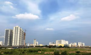 Phó Thủ tướng yêu cầu làm rõ phản ánh cấp Giấy chứng nhận quyền sử dụng đất tại Hà Đông
