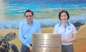 Bảo tồn hệ sinh thái biển tại đặc khu đảo Lý Sơn 