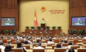 Luật cần cụ thể hơn quyền và biện pháp bảo vệ quyền lợi người tiêu dùng