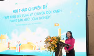 Phát triển bền vững và chuyển đổi xanh trong sản xuất công nghiệp