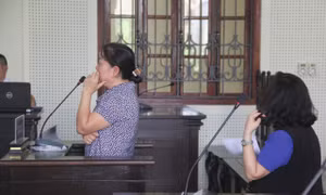 Quá thời hiệu truy cứu, vợ nguyên Chánh VP Tỉnh ủy Nghệ An thoát án lừa đảo?