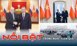 Nổi bật tuần qua: Diễn đàn Quốc gia phát triển doanh nghiệp công nghệ số; Nghị định 168/CP nâng cao ý thức tham gia giao thông