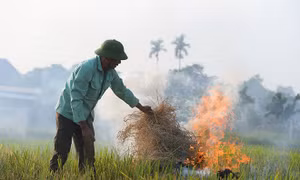 Sẽ ban bố trình trạng khẩn cấp nếu ô nhiễm không khí nghiêm trọng