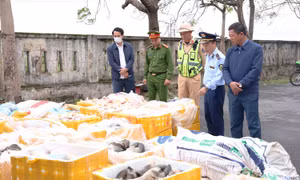 Phát hiện, tiêu hủy hơn 2,6 tấn nội tạng động vật không rõ nguồn gốc