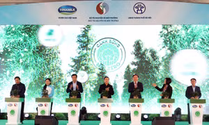 Lễ khởi động trồng cây hướng đến Net zero năm 2023