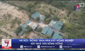 Hà Nội: 'Nóng' mua bán đất nông nghiệp xây nhà ven sông Hồng