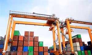 Vụ nghi lừa đảo xuất khẩu nông sản sang UAE: Đã thu hồi được tiền hàng của 4/5 container