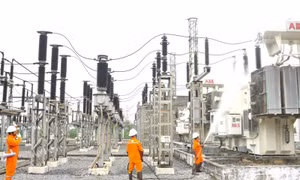 EVNHANOI đảm bảo vận hành lưới điện an toàn trong mùa hè 2025