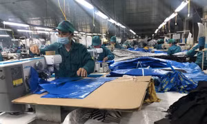 Vực dậy nguồn lực lao động giai đoạn hậu COVID-19