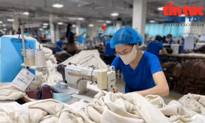 Xuất siêu gần 10 tỷ USD, ngành dệt may tăng tốc chuyển đổi để giữ đà tăng trưởng