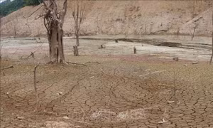 Hạn hán nghiêm trọng, nhiều hồ thủy điện về mực nước chết