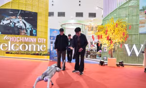 Hội chợ Mùa Xuân 2026: Nhiều hoạt động hấp dẫn ngày 11/2
