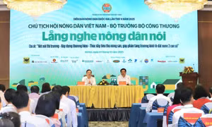 Nông nghiệp là 'con ngựa thồ' của nền kinh tế