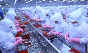 Linh hoạt giải pháp thúc đẩy xuất khẩu tăng trưởng nửa cuối năm